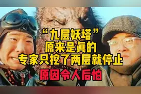 九层妖塔原来是真的，专家只挖了两层就停止了，原因令人后怕视频封面