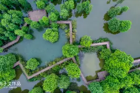 杭州临安青山湖，浙江最美绿道之一，水上森林最适合环湖骑行