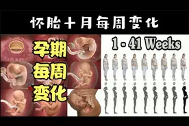 怀胎十月每周的变化，受精卵发育成婴儿全过程视频封面