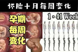 怀胎十月每周的变化，受精卵发育成婴儿全过程视频封面