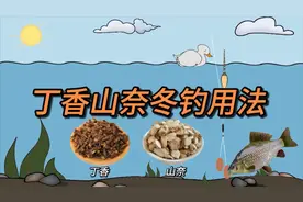 丁香山奈冬钓用法，简单高效，鲫鱼鲤鱼全拿下
