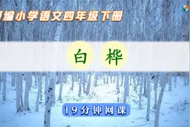 寒假提前学语文：部编语文四年级下册《白桦》，19分钟精短网课视频封面