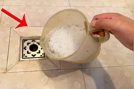 卫生间有小飞虫？教你一招，一冲就全死，还防止异味，简单又实用视频封面