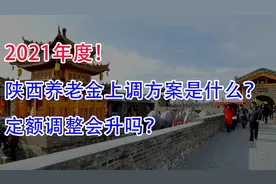 2021年度，陕西养老金上调方案是什么？定额调整会升吗？视频封面
