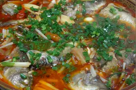 四川特色菜“酸汤鲫鱼”，麻辣鲜香嫩，川妹教你在家做，好吃惨了