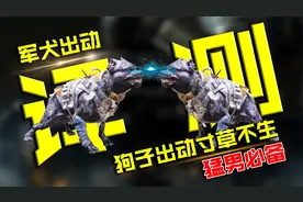 狗子出动寸草不上，使命召唤手游军犬技能全评测