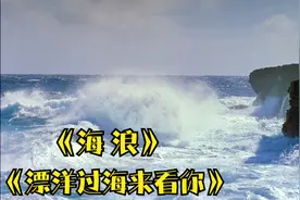《海浪》《漂洋过海来看你》二首海的歌，80后都听过