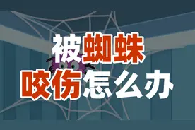 呜呜呜，被毒虫子咬了一定要这样急救！