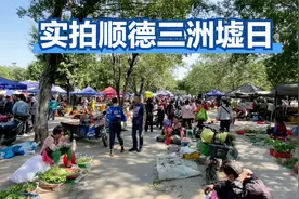实拍广佛交界著名墟市顺德三洲墟日，满街千奇百怪，人气非常火爆视频封面