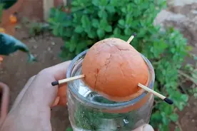 吃完水果，果核不丢！插上火柴，要点火吗？看到成品，我也动手做