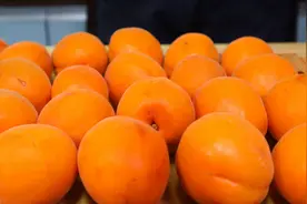 杏大量上市了，教你自制杏干，酸酸甜甜，一次4斤不够吃！