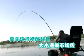 夏季高温鱼越来越难钓，这样有针对的搭配线组，大小通杀还不切线视频封面