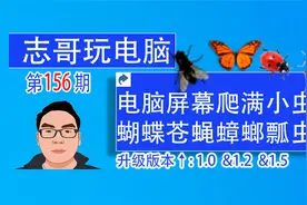 志哥玩电脑-第156期：电脑屏幕如何爬满蝴蝶蟑螂瓢虫苍蝇整蛊恶搞视频封面