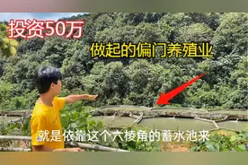 是什么偏门行业？让朋友辞去稳定工作，投资50万回农村发展养殖业视频封面