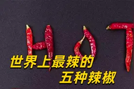世界上最辣的五种辣椒，第五名能辣跑大象，你能挑战哪一种？视频封面