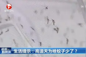 持续高温，蚊子给热没了？医生作出专业解释视频封面