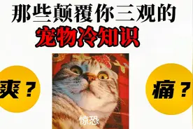 狗吃葡萄会中毒？那些颠覆你三观的动物冷知识！视频封面