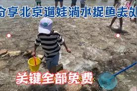 分享一个北京遛娃淌水捉鱼好去处，关键免费！视频封面