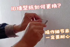 旧墙纸如何更换？干货来喽！看完就连新手小白也能轻松搞定视频封面