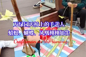 海口天桥上的老手艺人，蜻蜓、凤凰编得栩栩如生，小姐姐看入迷了视频封面