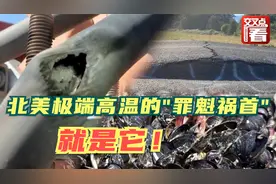 北美极端高温的“罪魁祸首”找到了：一个动画看懂“热穹顶”现象