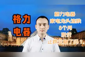 格力电器 家电龙头连跌8个月 股价止跌企稳了吗？#股票视频封面