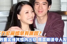 王力宏离婚早有原因？李靓蕾实锤其婚内出轨，揭露阴谋令人发指视频封面