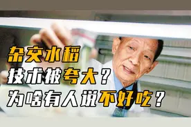 杂交水稻技术被夸大？为啥有人说不好吃？袁隆平对世界贡献有多大视频封面