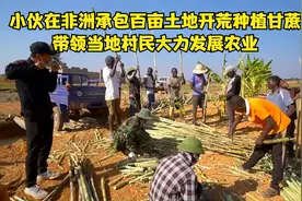 小伙在非洲承包百亩土地开荒种植甘蔗，带领当地村民大力发展农业视频封面