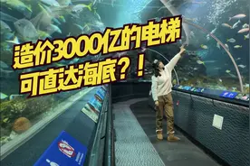 造价3000亿的电梯可直达海底！？上海海洋水族馆全纪录！海底世界