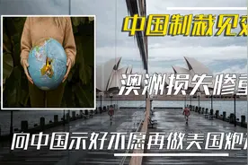 澳大利亚交恶中国，损失或将超过5500亿？关键时刻老大哥美国在哪视频封面