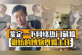 网络热门表情包|水猴子鉴定家（X）中科院八十万禁军教头（√）视频封面