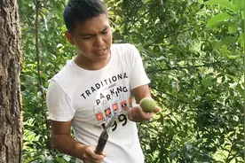 可以用来洗头的野果你们见过吗？小伙在深山发现了1颗，高兴坏了