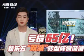 亏65亿！新东方半数门店关停，教培中心改酒店视频封面