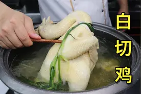 广东正宗做法的‘白切鸡’从选鸡到制作每一步都很讲究，看完就会