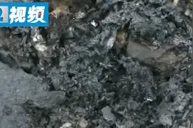 “当时就烧掉了 倒在地下草都烧掉了”人瞬间没了 被高压电烧成炭视频封面