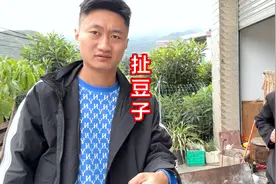 爷爷说豆子结得好，家蒙开着三轮去拉，结果不仅豆子少车还翻了视频封面