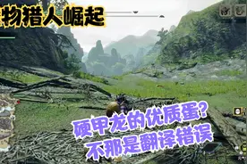 怪物猎人崛起简中汉化翻译错误 挑战优质龙蛋任务需要注意的地方视频封面