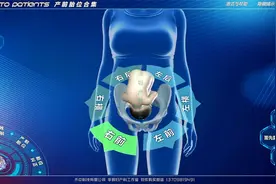 孕期胎儿胎位