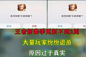 王者新赛季更新不到2周，大量玩家纷纷退游，原因过于真实视频封面