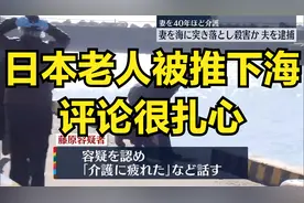 81岁老翁把妻子推入海中溺亡，是何原因痛下狠心？评论很扎心视频封面