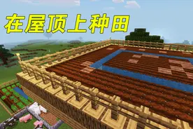 我的世界：在房顶上种田！收菜太方便了，能存活吗？