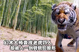 幻术大师以为自己很厉害变成老虎吓人，没成想却被一剑劈回原形视频封面