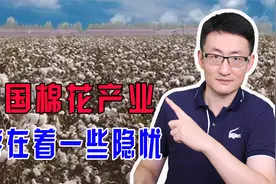 中国棉花产量居世界第二，却不能满足国内需要，只能靠大量进口视频封面