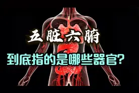 器官组成了人体的哪八大系统？7.1.21人体的器官视频封面