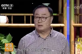 洗澡竟会引起皮肤瘙痒？专家讲解其中原因，快来听听|健康到我家视频封面