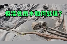 低洼处雨水如何处理？