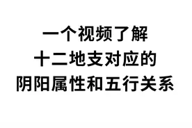 一个视频详细了解十二地支对于的阴阳属性和五行关系！！！视频封面