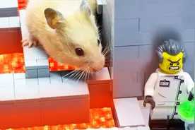 生物博士闯大祸！超巨型仓鼠 逃出实验室， 城市要被毁灭了？