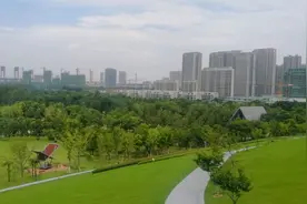 实拍合肥庐州公园夏日风情，喜欢这里！视频封面